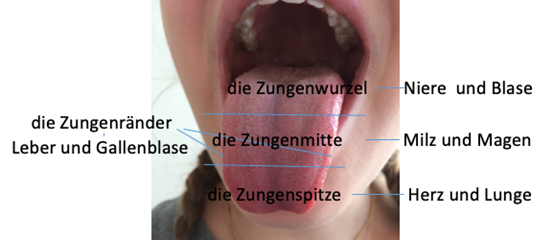 Zungendiagnostik